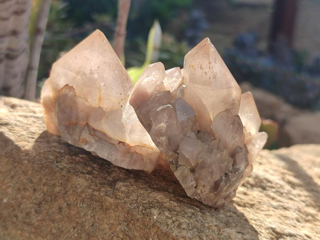 Natural Cascading White Phantom Smokey Luena Quartz Crystals and Clusters x 12 From Luena, Congo - Toprock Gemstones and Minerals 