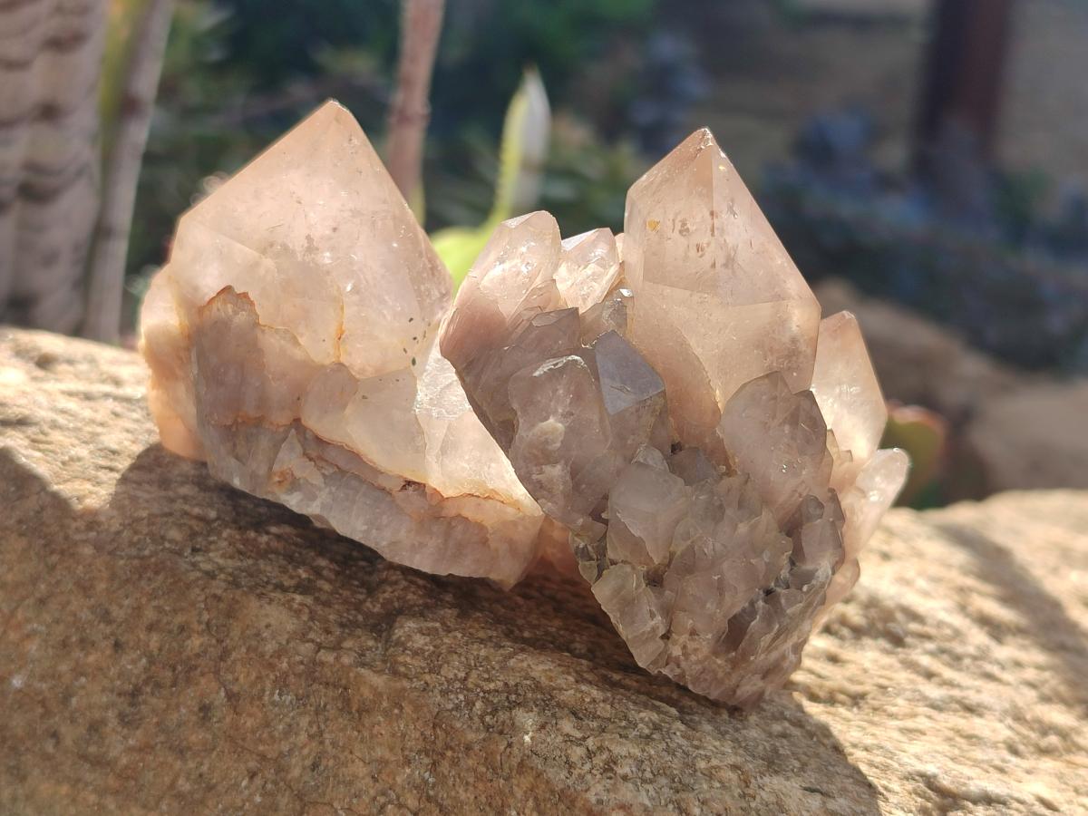Natural Cascading White Phantom Smokey Luena Quartz Crystals and Clusters x 12 From Luena, Congo - Toprock Gemstones and Minerals 