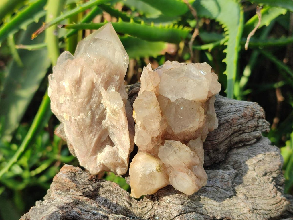 Natural Cascading White Phantom Smokey Luena Quartz Crystals and Clusters x 12 From Luena, Congo - Toprock Gemstones and Minerals 