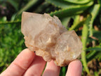 Natural Cascading White Phantom Smokey Luena Quartz Crystals and Clusters x 12 From Luena, Congo - Toprock Gemstones and Minerals 