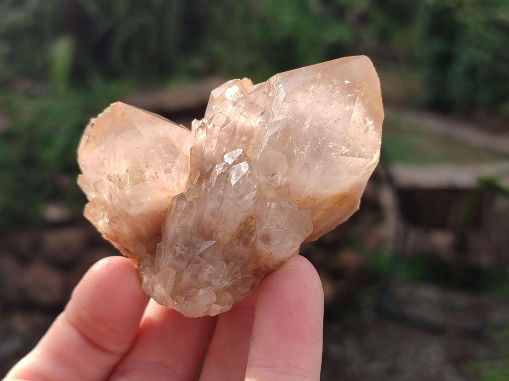 Natural Cascading White Phantom Smokey Luena Quartz Crystals and Clusters x 12 From Luena, Congo - Toprock Gemstones and Minerals 
