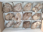 Natural Cascading White Phantom Smokey Luena Quartz Crystals and Clusters x 12 From Luena, Congo - Toprock Gemstones and Minerals 