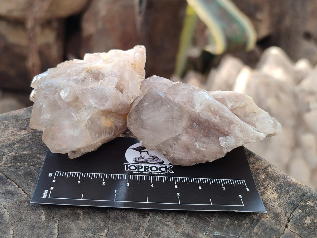 Natural Cascading White Phantom Smokey Luena Quartz Crystals and Clusters x 12 From Luena, Congo - Toprock Gemstones and Minerals 