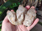 Natural Cascading White Phantom Smokey Luena Quartz Crystals and Clusters x 12 From Luena, Congo - Toprock Gemstones and Minerals 
