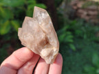 Natural Cascading White Phantom Smokey Luena Quartz Crystals and Clusters x 12 From Luena, Congo - Toprock Gemstones and Minerals 