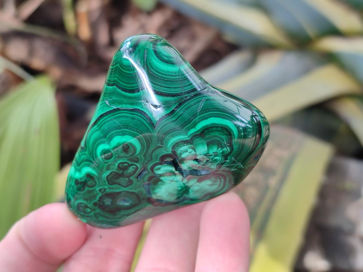 Polished Flower Banded Malachite Free Forms x 12 From Congo - Toprock Gemstones and Minerals 