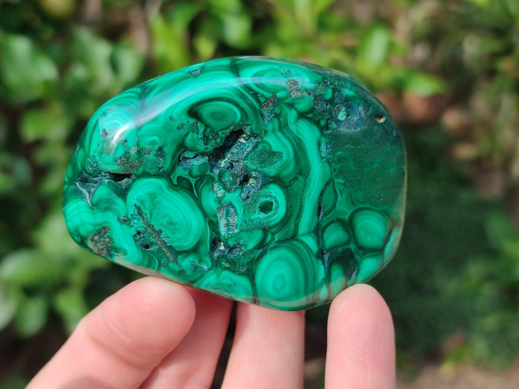 Polished Flower Banded Malachite Free Forms x 12 From Congo - Toprock Gemstones and Minerals 