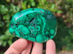 Polished Flower Banded Malachite Free Forms x 12 From Congo - Toprock Gemstones and Minerals 
