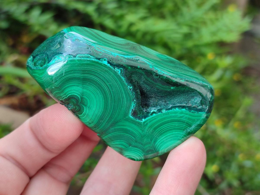 Polished Flower Banded Malachite Free Forms x 12 From Congo - Toprock Gemstones and Minerals 