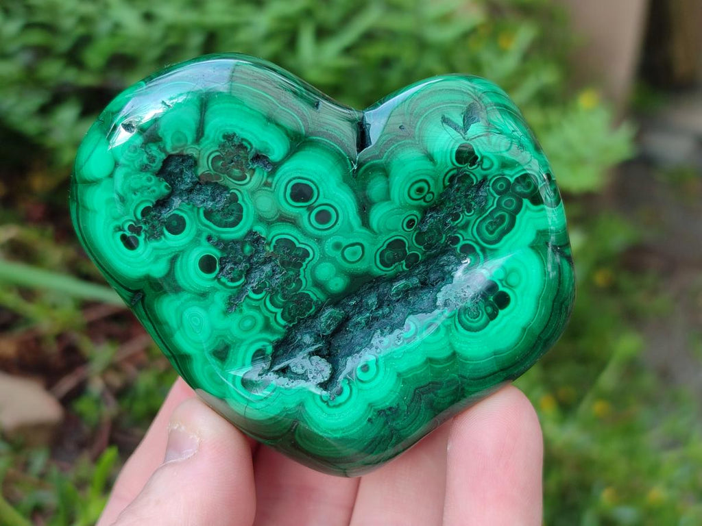 Polished Flower Banded Malachite Free Forms x 12 From Congo - Toprock Gemstones and Minerals 