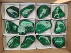 Polished Flower Banded Malachite Free Forms x 12 From Congo - Toprock Gemstones and Minerals 