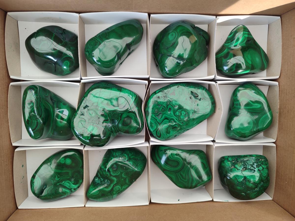Polished Flower Banded Malachite Free Forms x 12 From Congo - Toprock Gemstones and Minerals 