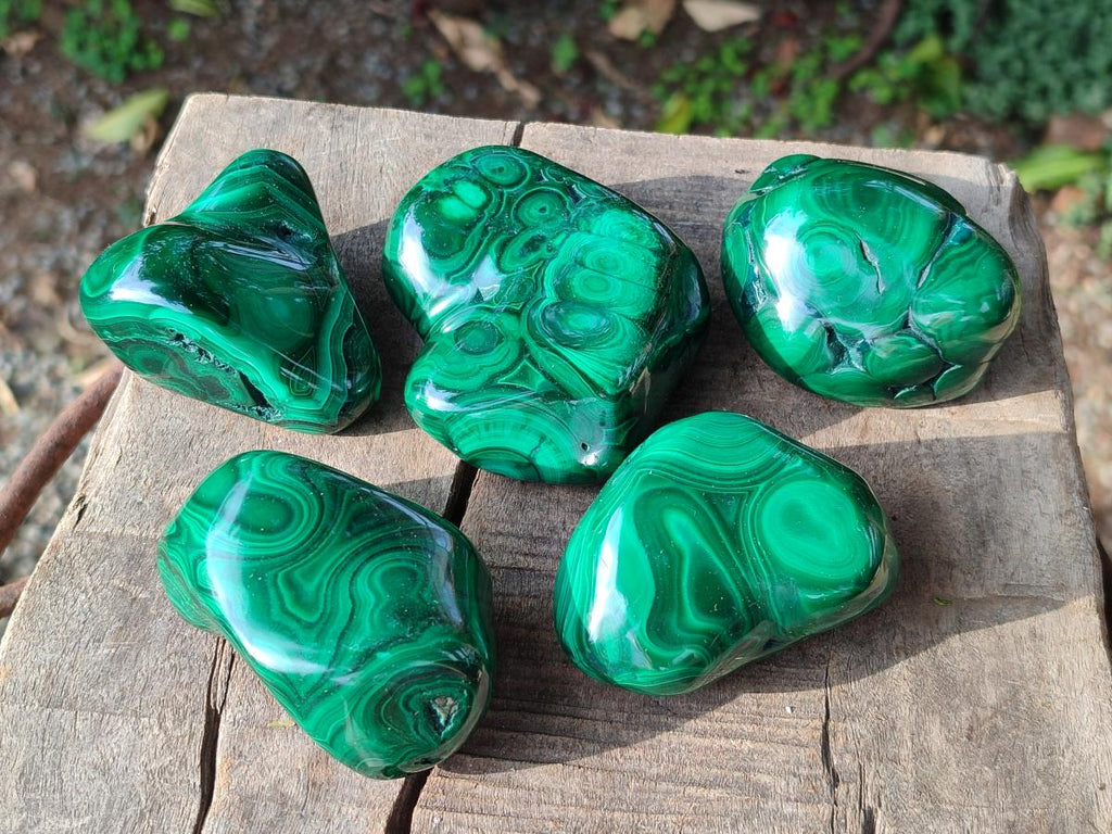 Polished Flower Banded Malachite Free Forms x 12 From Congo - Toprock Gemstones and Minerals 