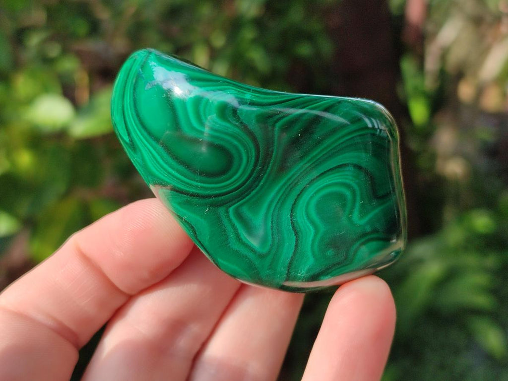 Polished Flower Banded Malachite Free Forms x 12 From Congo - Toprock Gemstones and Minerals 