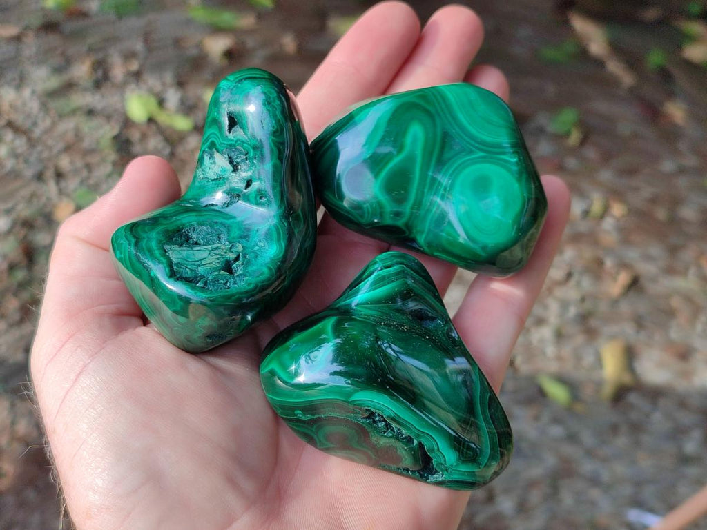 Polished Flower Banded Malachite Free Forms x 12 From Congo - Toprock Gemstones and Minerals 