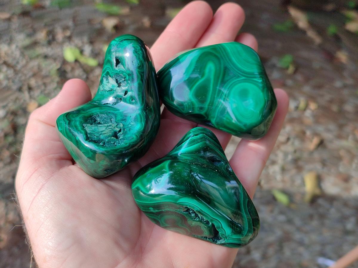 Polished Flower Banded Malachite Free Forms x 12 From Congo - Toprock Gemstones and Minerals 