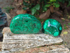 Polished Flower Banded Malachite Free Forms x 12 From Congo - Toprock Gemstones and Minerals 