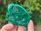 Polished Flower Banded Malachite Free Forms x 12 From Congo - Toprock Gemstones and Minerals 