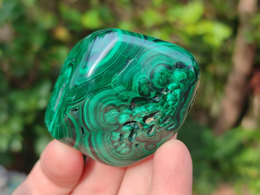 Polished Flower Banded Malachite Free Forms x 12 From Congo - Toprock Gemstones and Minerals 