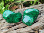 Polished Flower Banded Malachite Free Forms x 12 From Congo - Toprock Gemstones and Minerals 