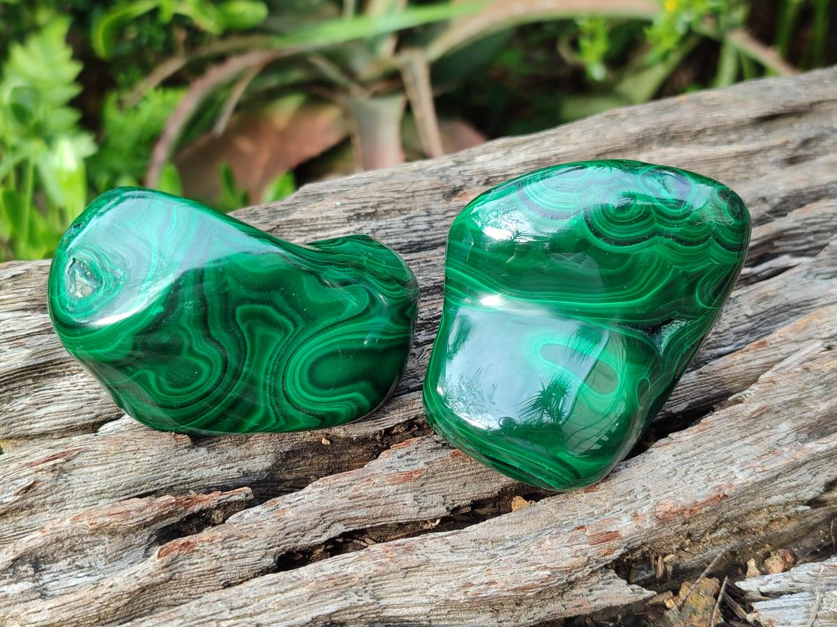 Polished Flower Banded Malachite Free Forms x 12 From Congo - Toprock Gemstones and Minerals 