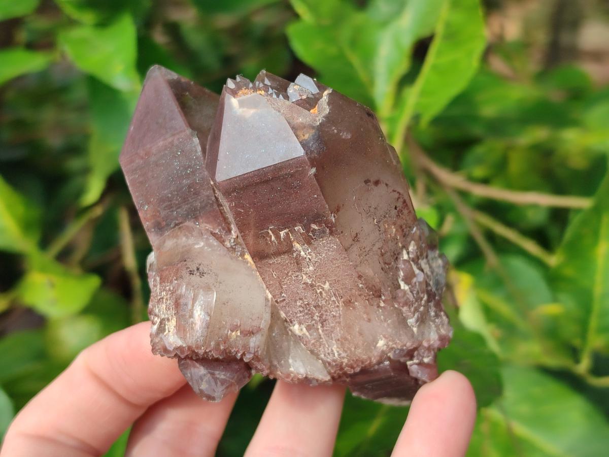 Natural Red Hematoid Quartz Crystals and Clusters x 12 From Karoi, Zimbabwe - Toprock Gemstones and Minerals 