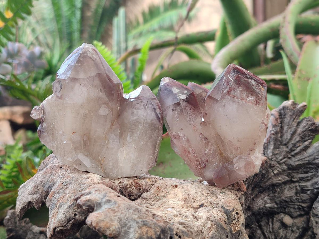 Natural Red Hematoid Quartz Crystals and Clusters x 12 From Karoi, Zimbabwe - Toprock Gemstones and Minerals 