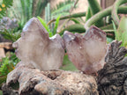 Natural Red Hematoid Quartz Crystals and Clusters x 12 From Karoi, Zimbabwe - Toprock Gemstones and Minerals 