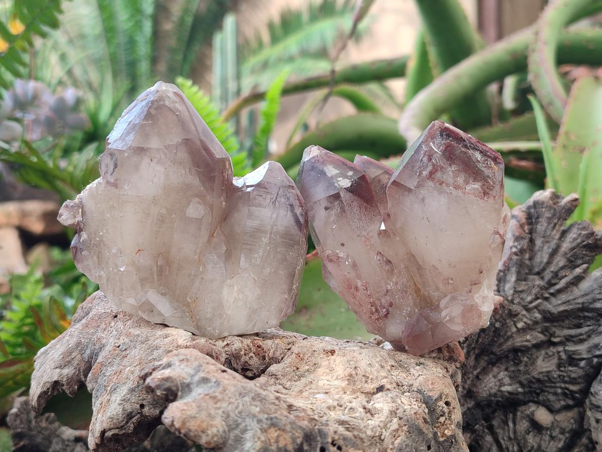 Natural Red Hematoid Quartz Crystals and Clusters x 12 From Karoi, Zimbabwe - Toprock Gemstones and Minerals 