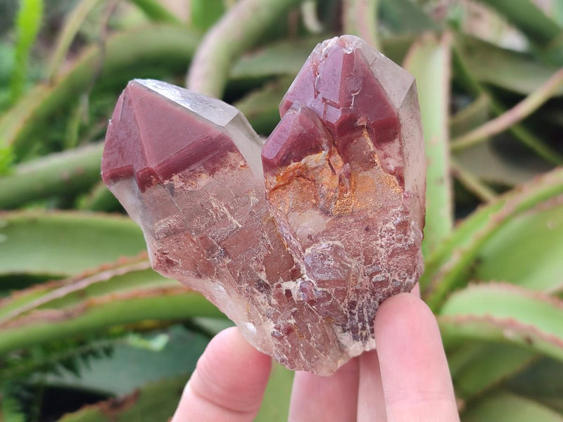 Natural Red Hematoid Quartz Crystals and Clusters x 12 From Karoi, Zimbabwe - Toprock Gemstones and Minerals 