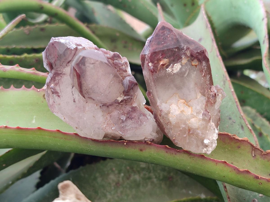 Natural Red Hematoid Quartz Crystals and Clusters x 12 From Karoi, Zimbabwe - Toprock Gemstones and Minerals 