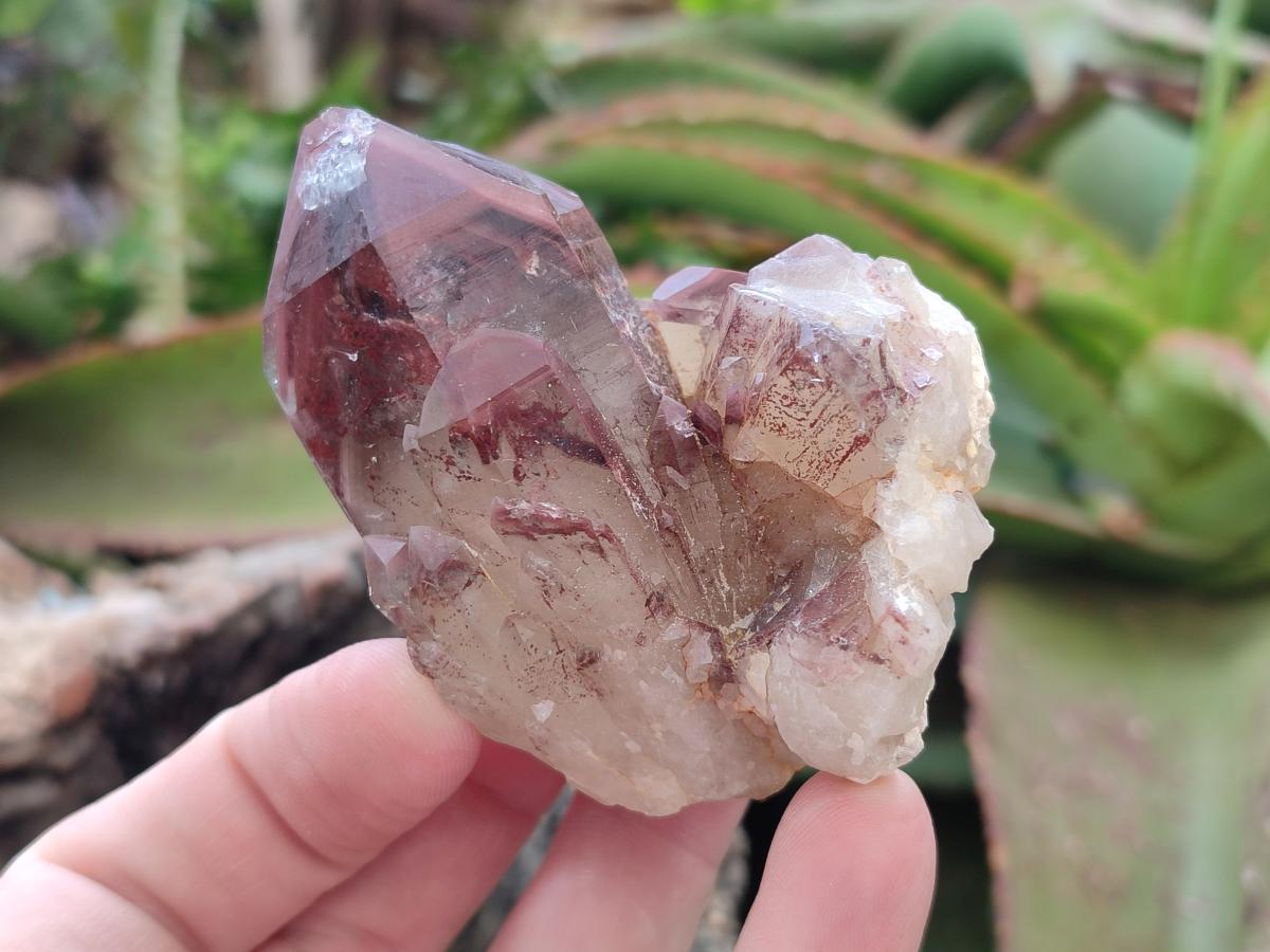 Natural Red Hematoid Quartz Crystals and Clusters x 12 From Karoi, Zimbabwe - Toprock Gemstones and Minerals 