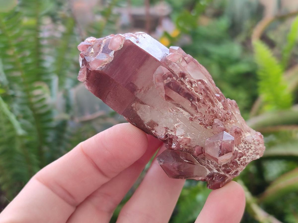 Natural Red Hematoid Quartz Crystals and Clusters x 12 From Karoi, Zimbabwe - Toprock Gemstones and Minerals 