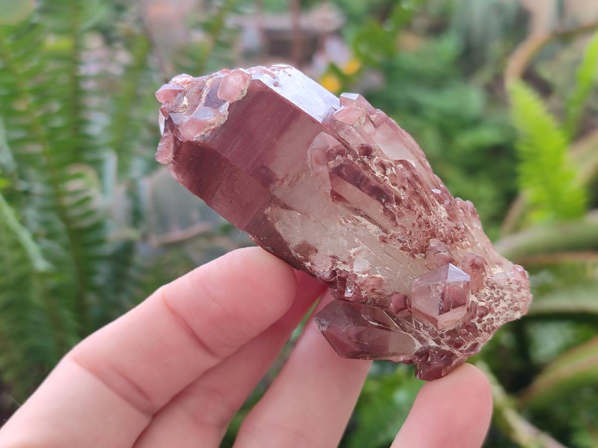 Natural Red Hematoid Quartz Crystals and Clusters x 12 From Karoi, Zimbabwe - Toprock Gemstones and Minerals 