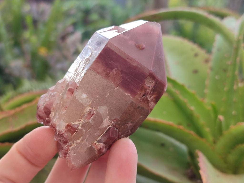 Natural Red Hematoid Quartz Crystals and Clusters x 12 From Karoi, Zimbabwe - Toprock Gemstones and Minerals 