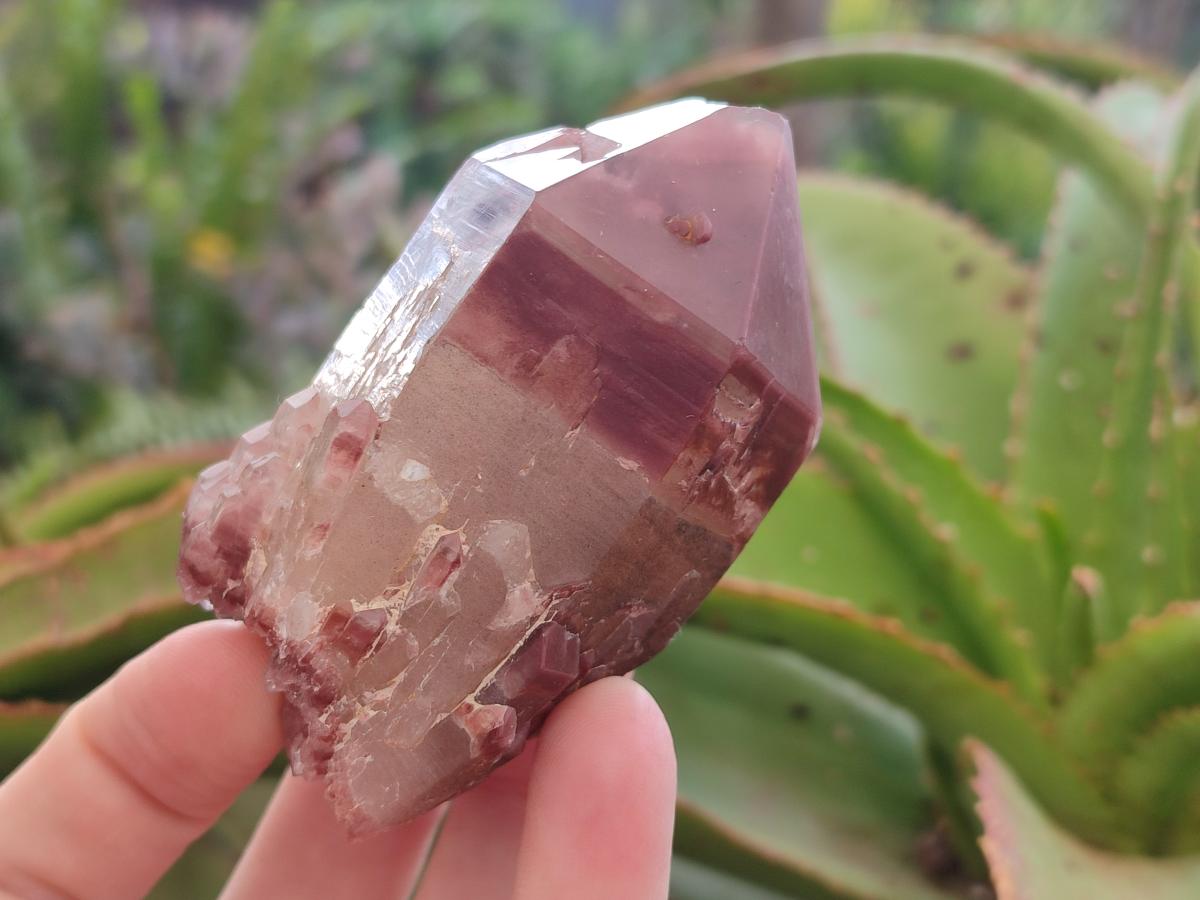 Natural Red Hematoid Quartz Crystals and Clusters x 12 From Karoi, Zimbabwe - Toprock Gemstones and Minerals 