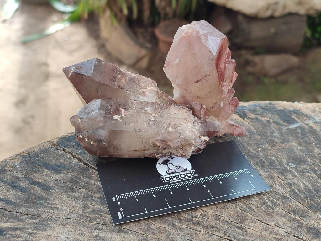 Natural Red Hematoid Quartz Crystals and Clusters x 12 From Karoi, Zimbabwe - Toprock Gemstones and Minerals 