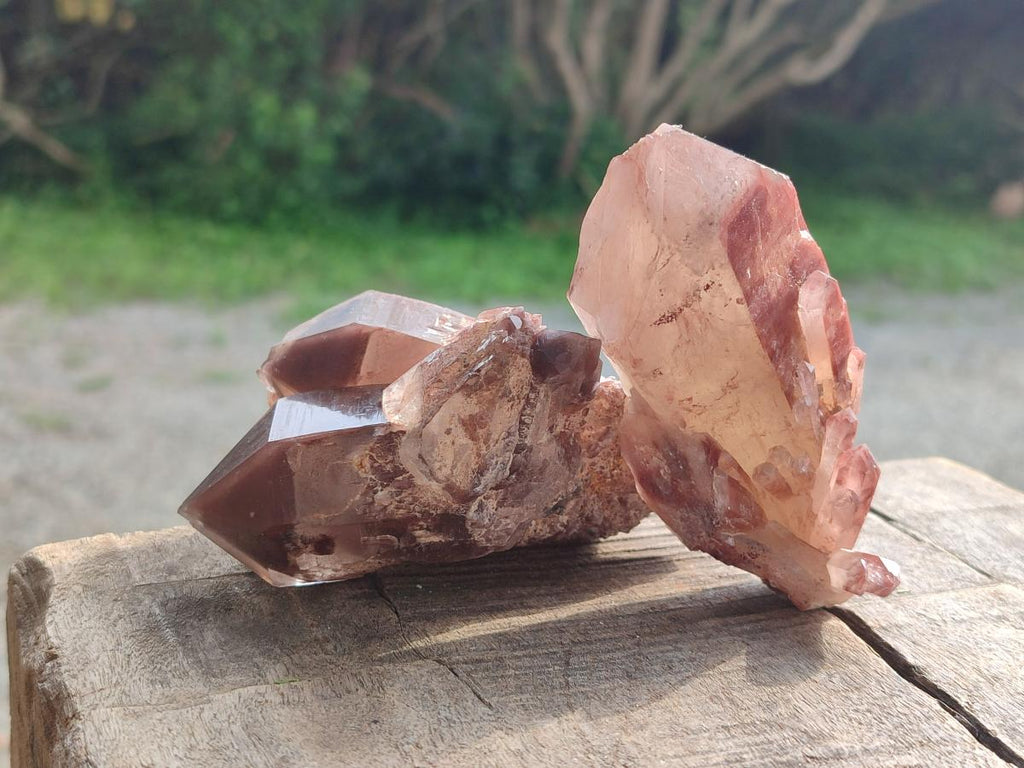 Natural Red Hematoid Quartz Crystals and Clusters x 12 From Karoi, Zimbabwe - Toprock Gemstones and Minerals 