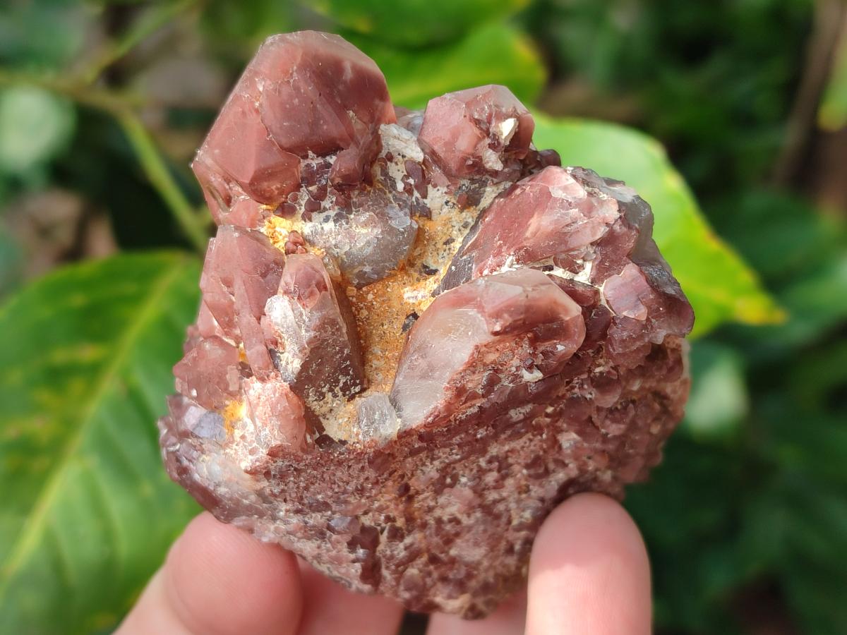 Natural Red Hematoid Quartz Crystals and Clusters x 12 From Karoi, Zimbabwe - Toprock Gemstones and Minerals 