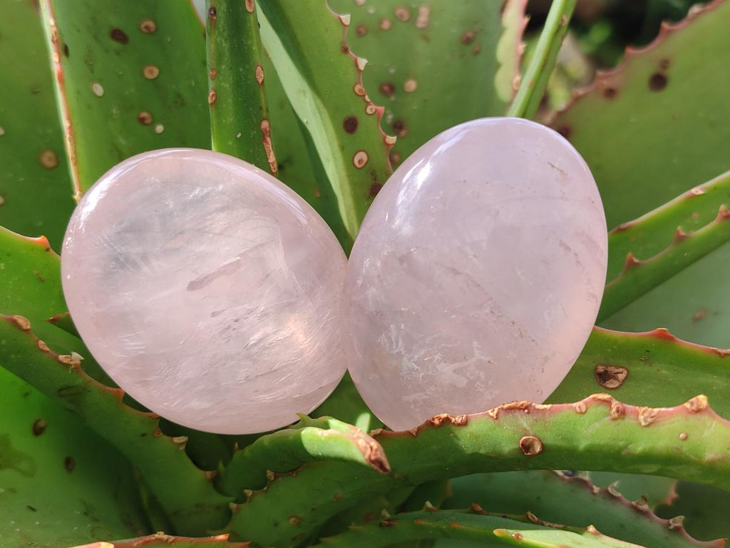 Polished Small Gemmy Rose Quartz Palm Stones x 24 From Madagascar - Toprock Gemstones and Minerals 