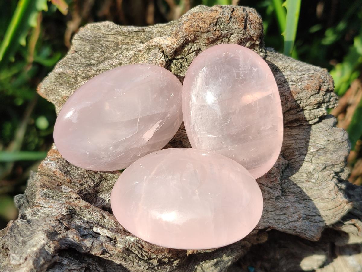 Polished Small Gemmy Rose Quartz Palm Stones x 24 From Madagascar - Toprock Gemstones and Minerals 