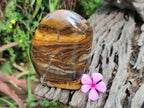 Polished Golden Tigers Eye Standing Free Forms x 2 From Prieska, South Africa - Toprock Gemstones and Minerals 