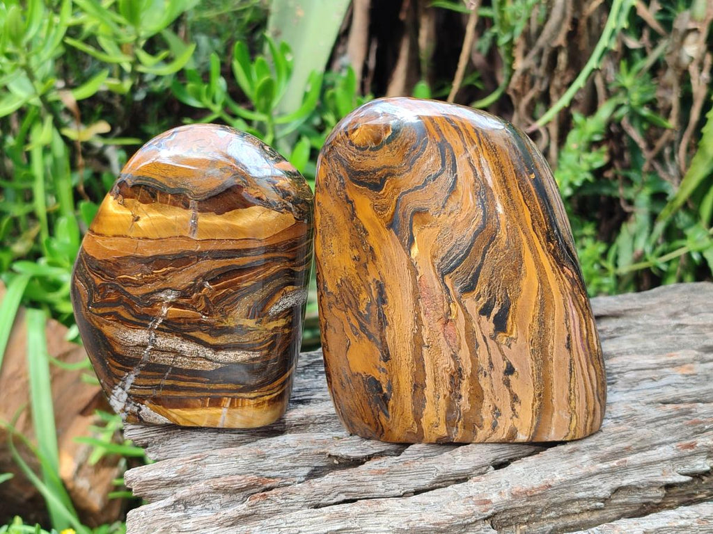 Polished Golden Tigers Eye Standing Free Forms x 2 From Prieska, South Africa - Toprock Gemstones and Minerals 