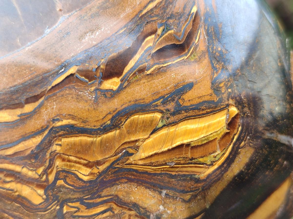 Polished Golden Tigers Eye Standing Free Forms x 2 From Prieska, South Africa - Toprock Gemstones and Minerals 