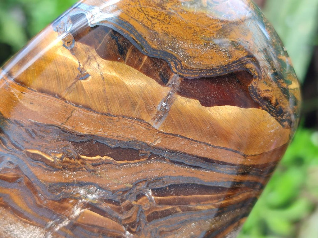 Polished Golden Tigers Eye Standing Free Forms x 2 From Prieska, South Africa - Toprock Gemstones and Minerals 