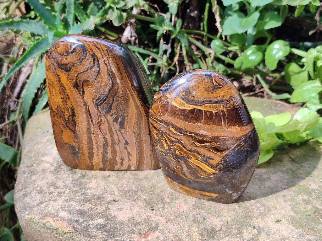 Polished Golden Tigers Eye Standing Free Forms x 2 From Prieska, South Africa - Toprock Gemstones and Minerals 