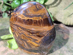 Polished Golden Tigers Eye Standing Free Forms x 2 From Prieska, South Africa - Toprock Gemstones and Minerals 