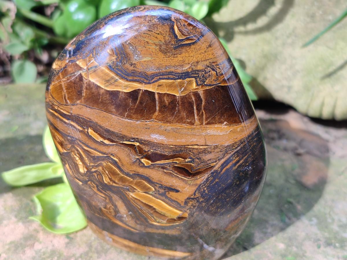 Polished Golden Tigers Eye Standing Free Forms x 2 From Prieska, South Africa - Toprock Gemstones and Minerals 