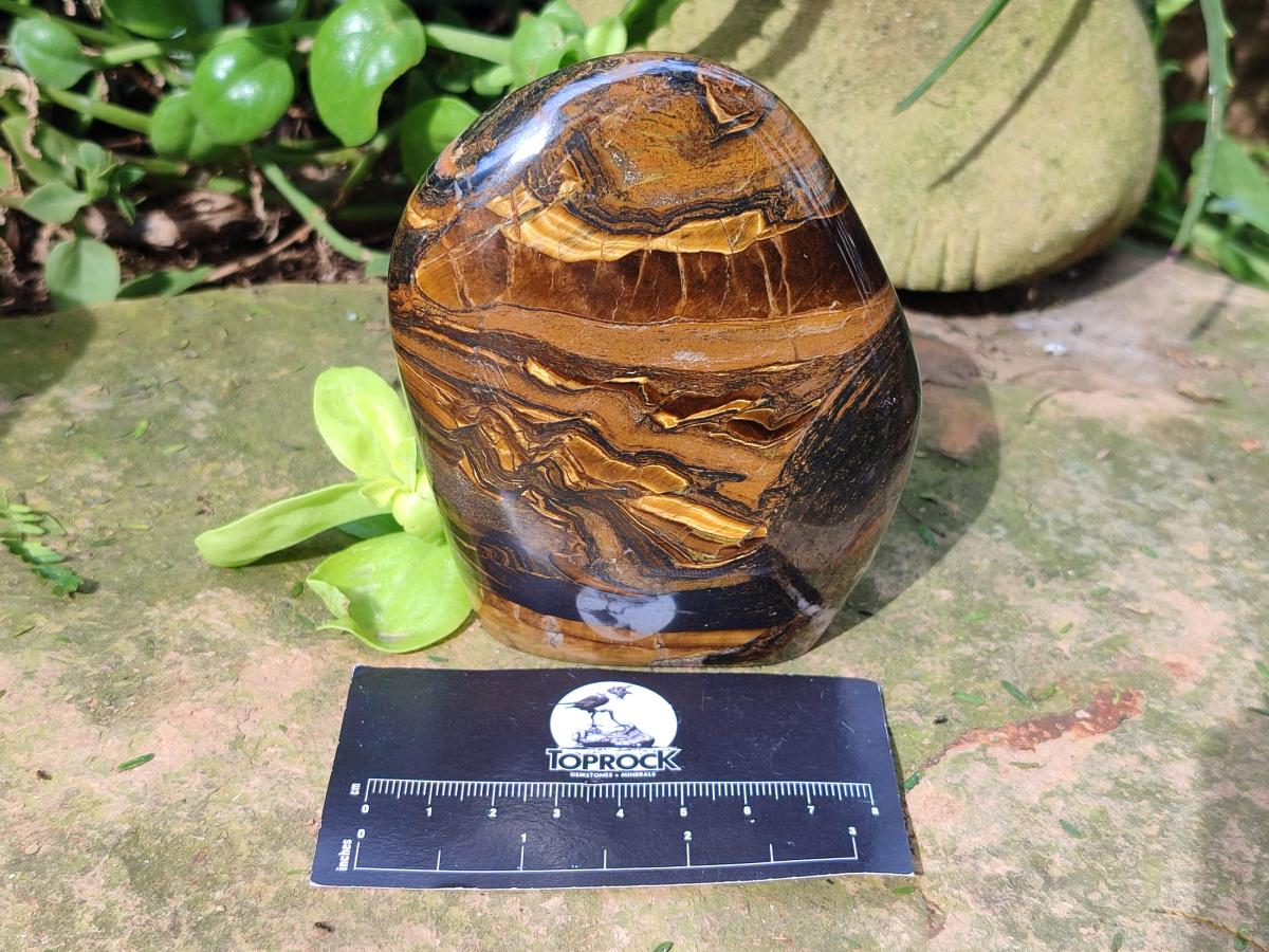 Polished Golden Tigers Eye Standing Free Forms x 2 From Prieska, South Africa - Toprock Gemstones and Minerals 