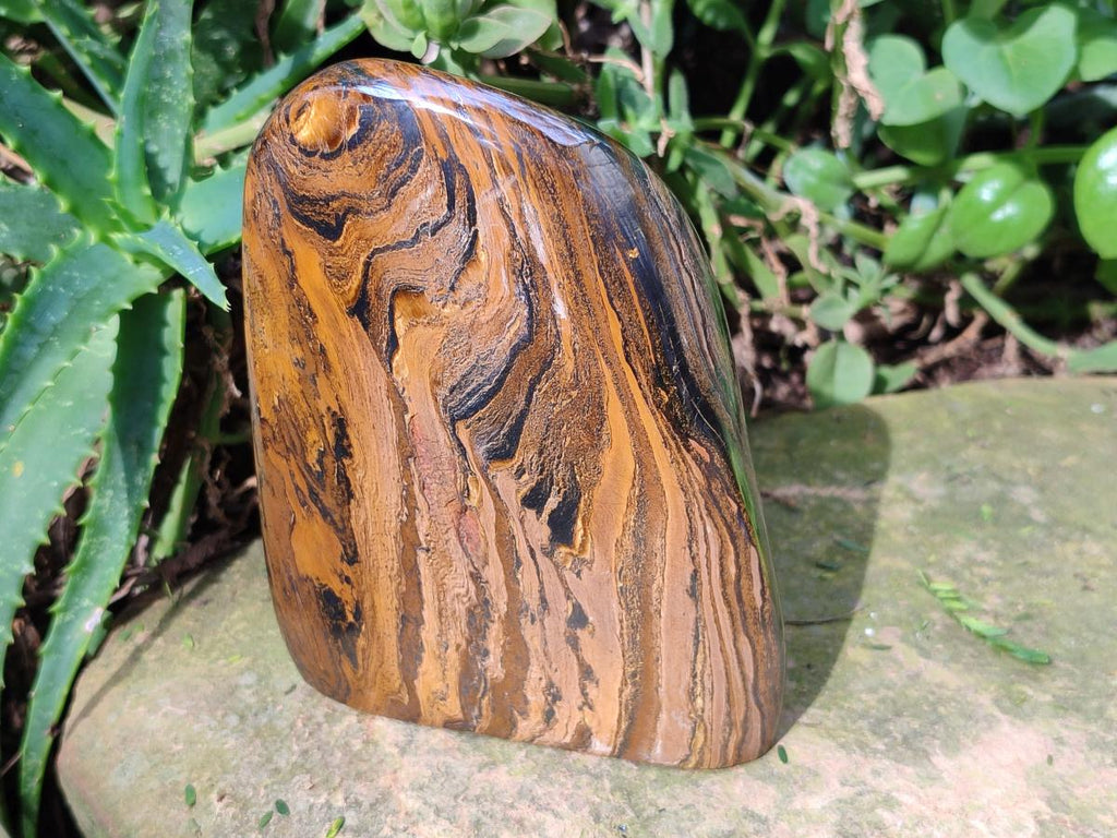 Polished Golden Tigers Eye Standing Free Forms x 2 From Prieska, South Africa - Toprock Gemstones and Minerals 